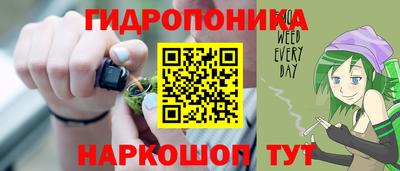 spice Камышлов