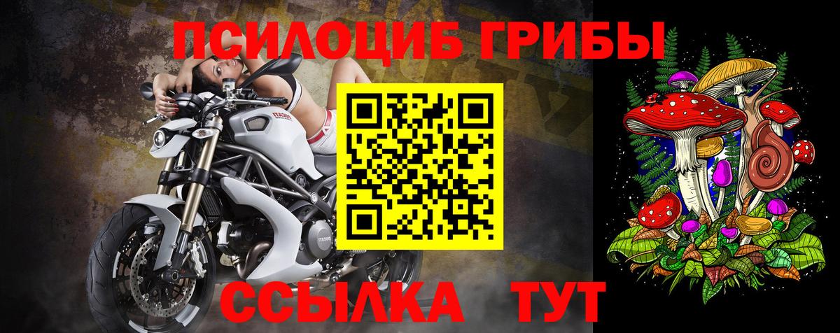 Галлюциногенные грибы Psilocybine cubensis  Вход с VPN  Псилоцибиновые грибы Cubensis  наркотики  Лабытнанги 